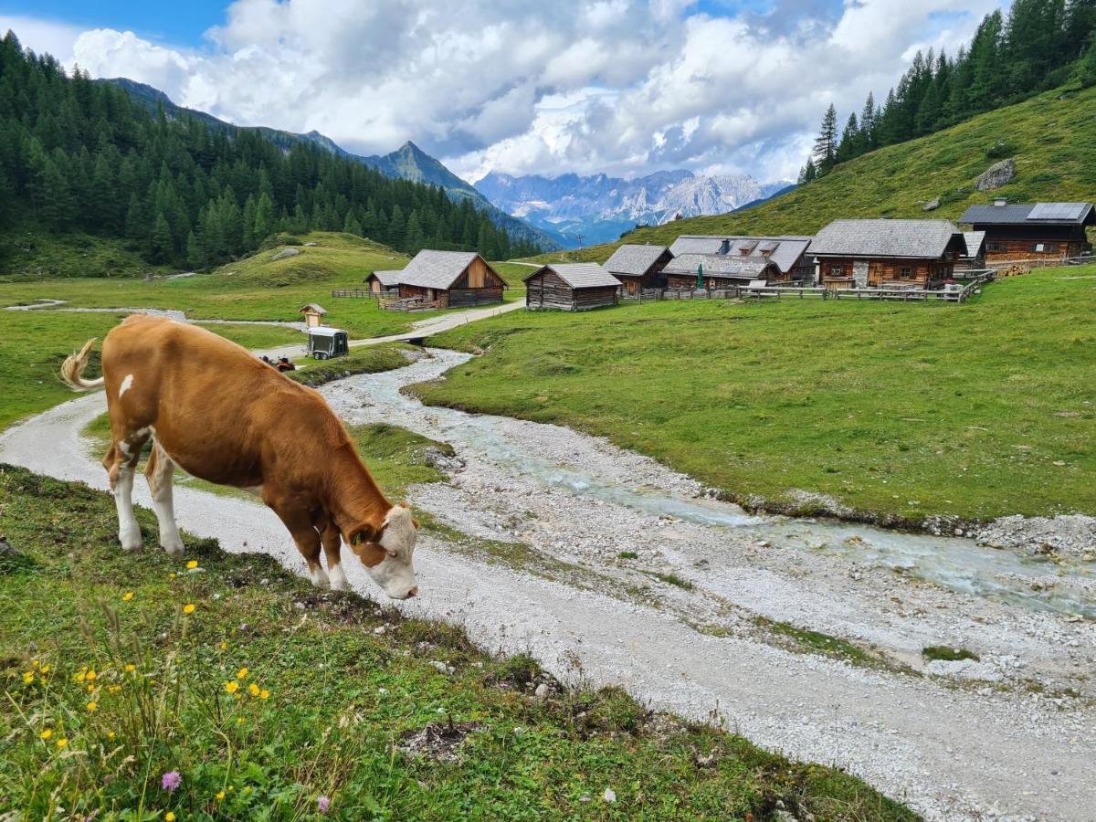 Bright Side Of Life - Schladming Am Sonnenhang Dış mekan fotoğraf