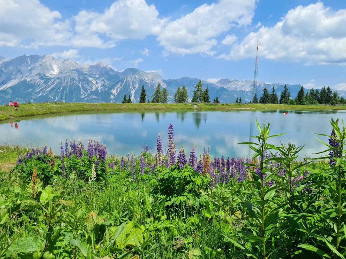 Bright Side Of Life - Schladming Am Sonnenhang Dış mekan fotoğraf
