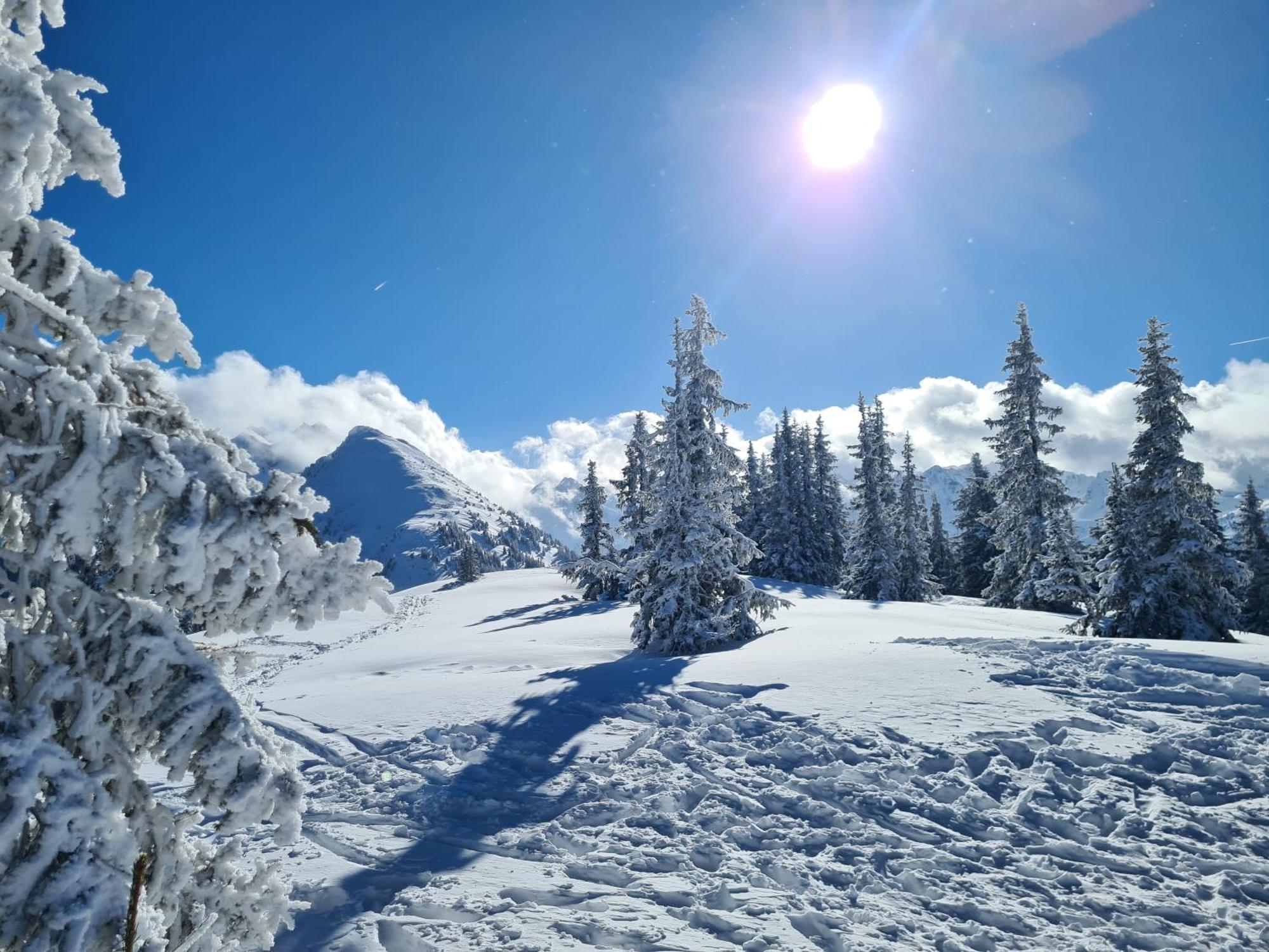 Bright Side Of Life - Schladming Am Sonnenhang Dış mekan fotoğraf